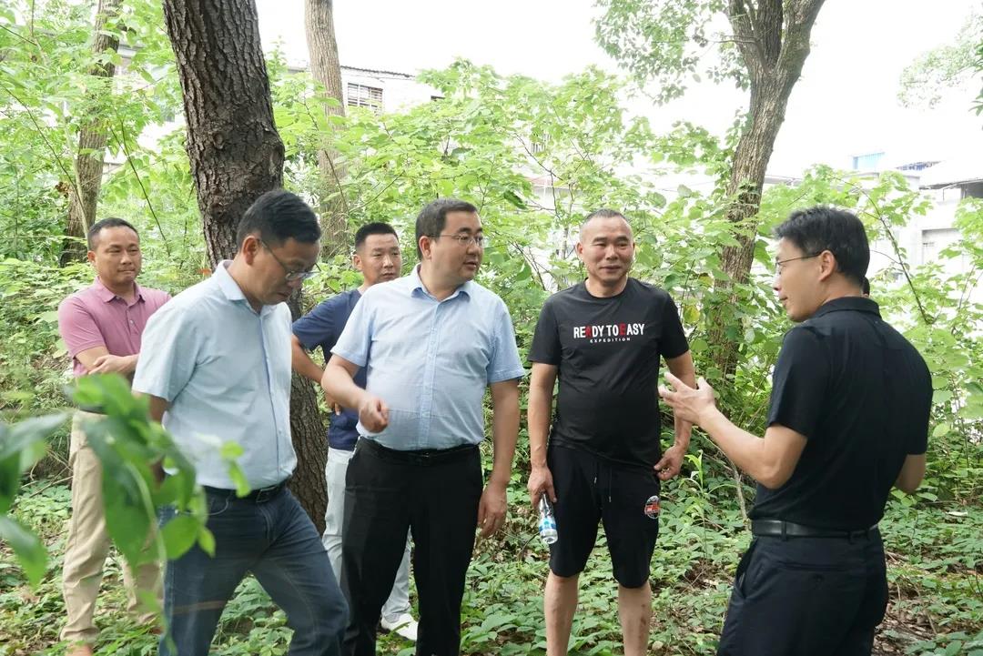 微信图片_3.jpg
